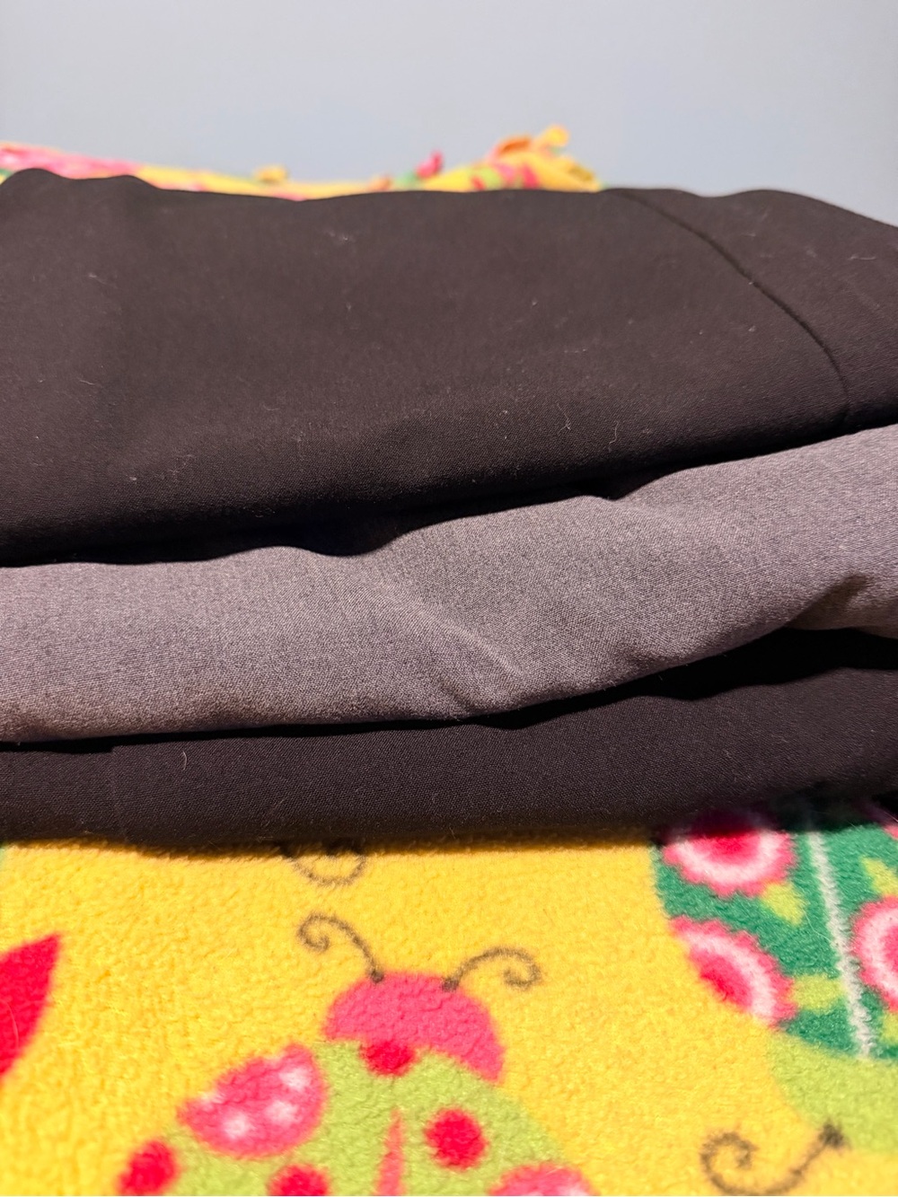 Lot of 3 Size 8 Dress Pants Black and Gray